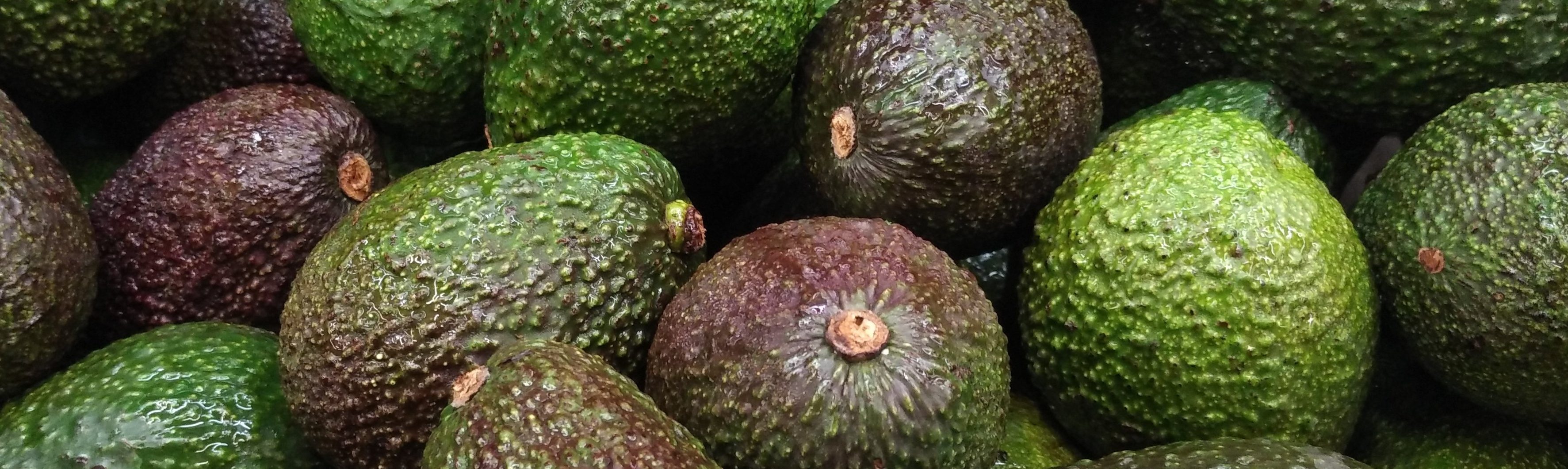 Permalink auf:Wohnen, Essen & Co